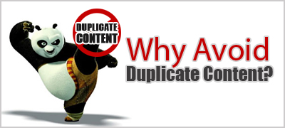 Duplicate Content on Website