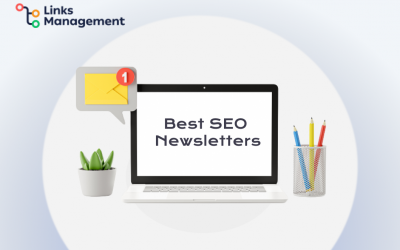 best seo newsletters