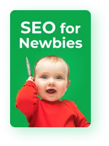 seo newbie